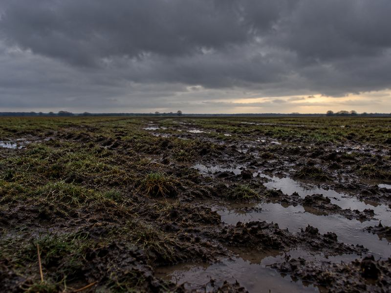 Modderige polder onder een dreigende lucht